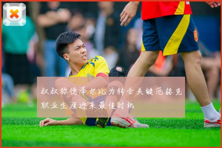 叔叔称德泽尔比为转会关键范赫克职业生涯迎来最佳时机