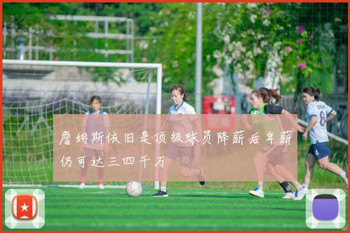 詹姆斯依旧是顶级球员降薪后年薪仍可达三四千万